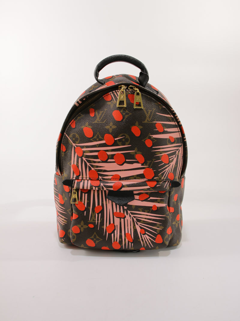 LOUIS VUITTON BACKPACKS