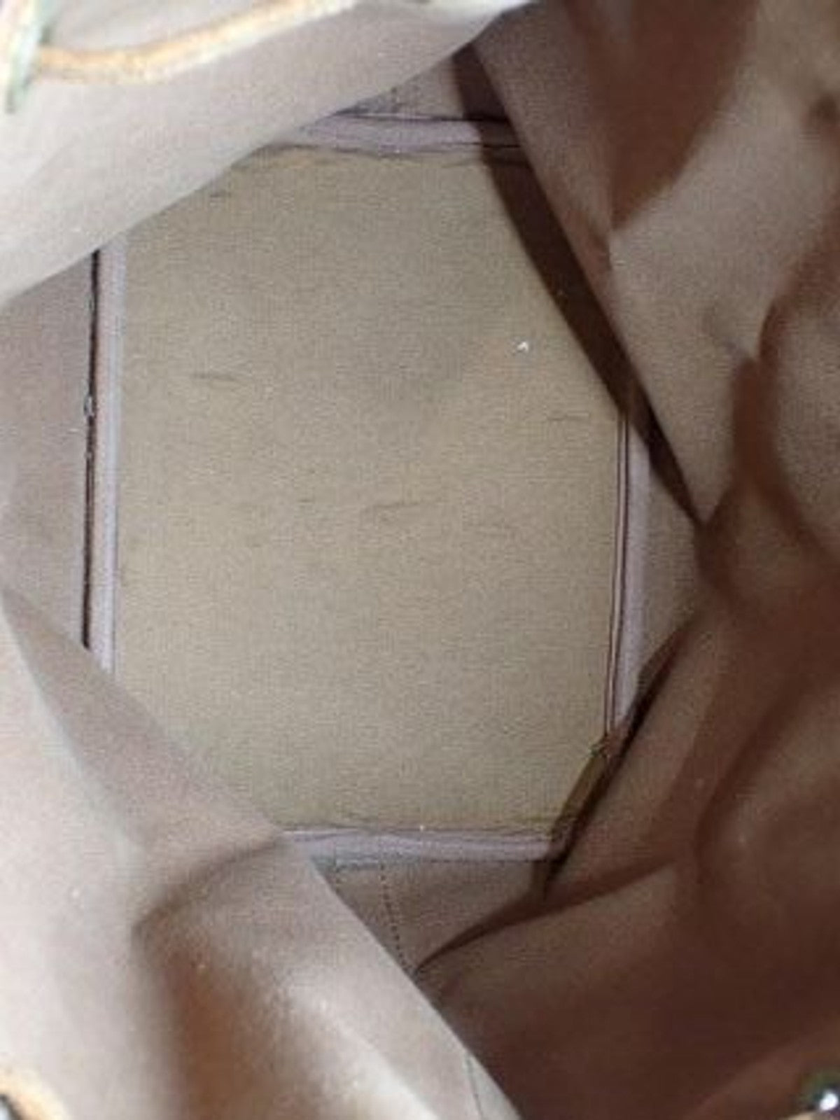 Petit Noé