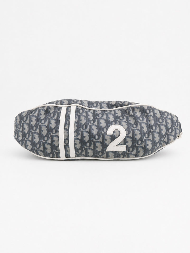 Christian Dior beltevesker