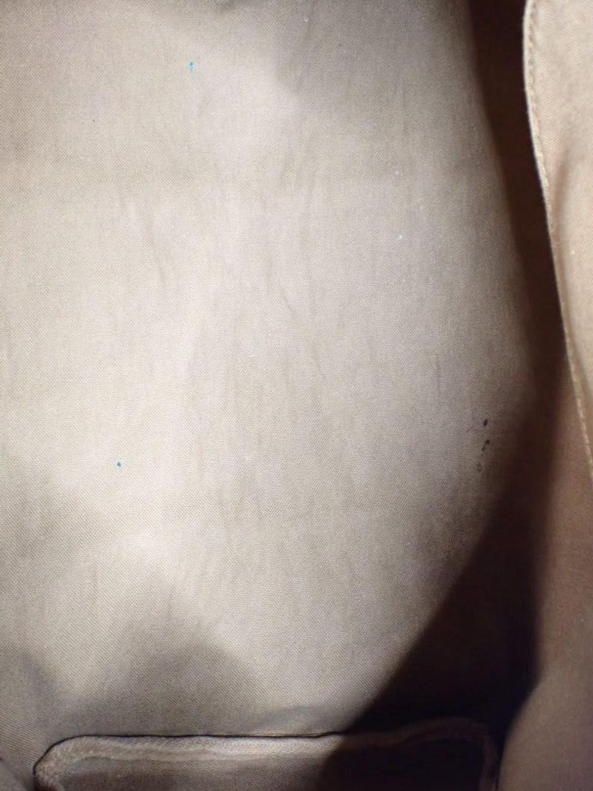 Louis Vuitton Speedy 35